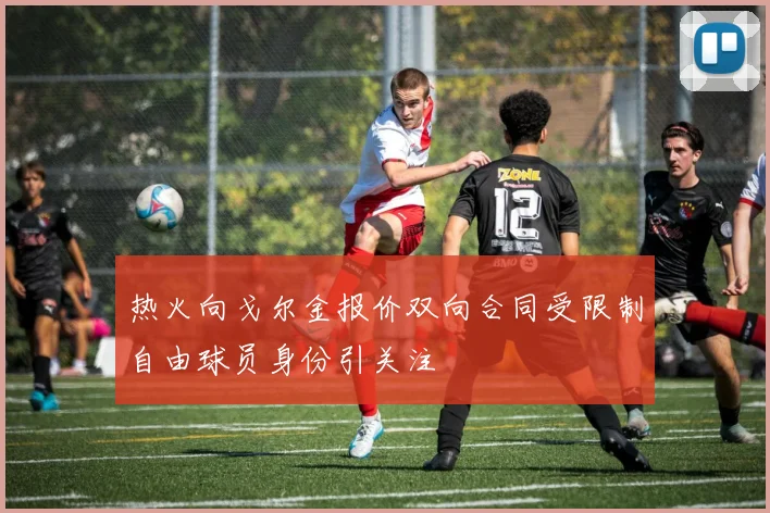 热火向戈尔金报价双向合同受限制自由球员身份引关注