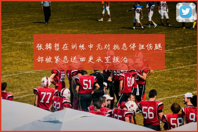 张稀哲在训练中无对抗急停扭伤腿部被紧急送回更衣室救治